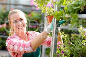 smiling woman working in garden center sunny