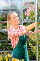garden center woman work with potted flowers