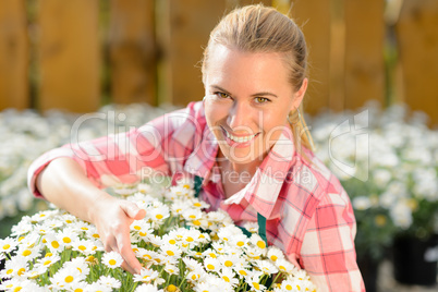 smiling garden center woman potted daisy flowers