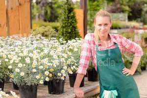 garden center woman worker potted daisy flowers
