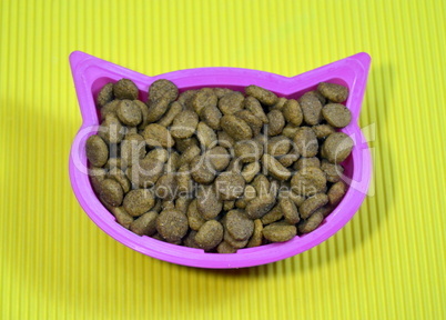 Special cat food on plate with cat head shape