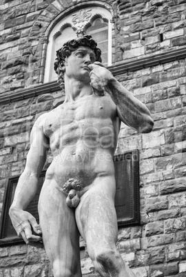The stature of Michelangelo's David in Piazza Della Signoria, Fl