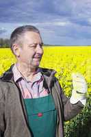 Farmer controls his canola field