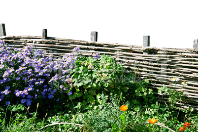 wicker fence