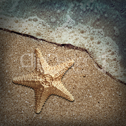 Starfish in the foam of the surf on the shore
