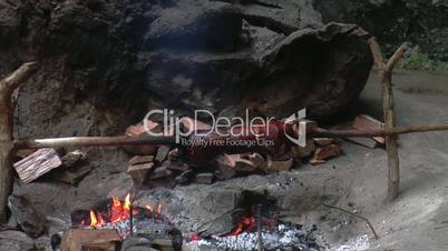 suckling piglet roasting on a spit
