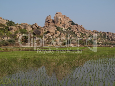 Beautiful granite mountain and rice field