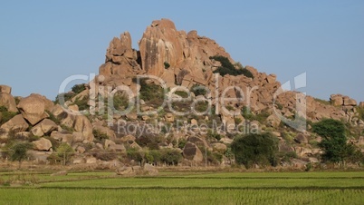 Granite mountain and rice field