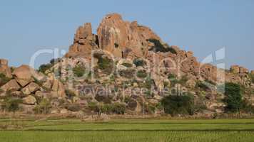 Granite mountain and rice field