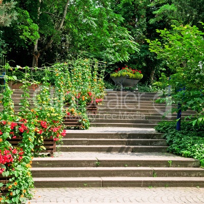 staircase in the cozy park