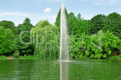 fountain in the center of the lake