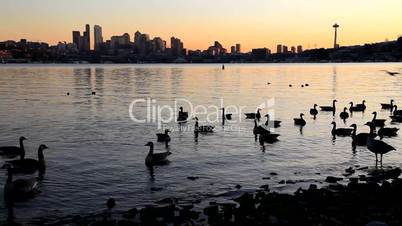 Seattle - Lake Union at dusk
