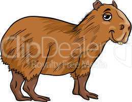 capybara animal cartoon illustration