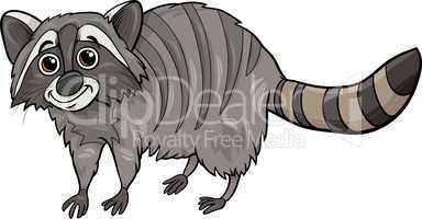 raccoon animal cartoon illustration