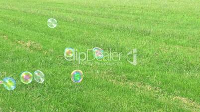 Soap Bubbles Floating on Green Grass Field Background