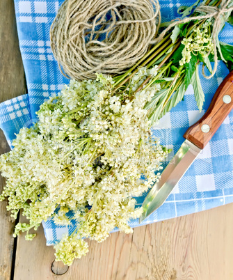 Meadowsweet fresh with knife and twine on board