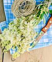 Meadowsweet fresh with knife and twine on board