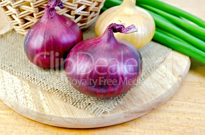 Onion yellow and purple on board