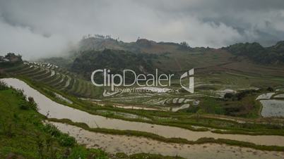 Foggy rice terraces in Sa Pa timelapse