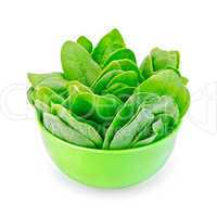 Spinach in a green bowl