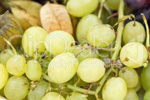 Green grape background
