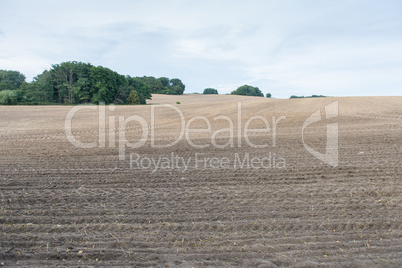 Brown ploughed field under cloudy sky after harvest