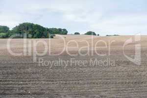 Brown ploughed field under cloudy sky after harvest