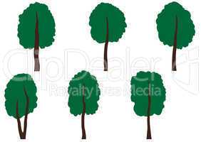 Set of different trees