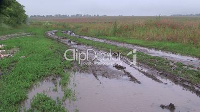 Muddy dirt road with puddles through the field in rain