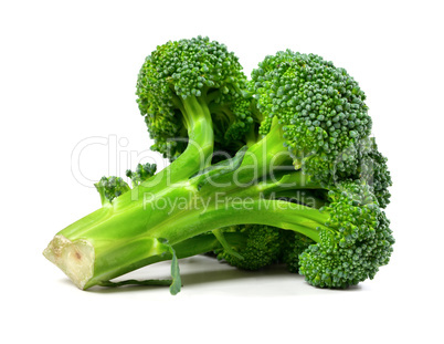 Broccoli isolated on white background