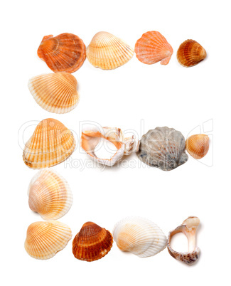 Letter E composed of seashells