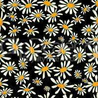 Camomile seamless pattern