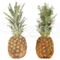 pineapple isolated on white background. Vector illustration