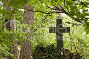 Cemetery in a Forest