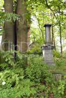 Cemetery in a Forest