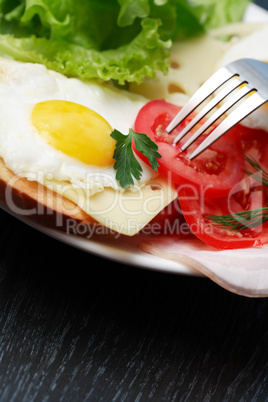 Fried Eggs