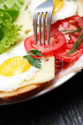 Fried Eggs