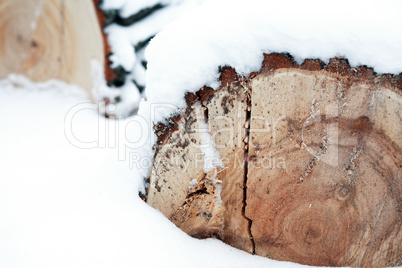 Timber In Snow