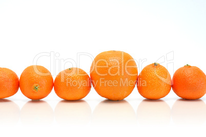 Citrus Fruits