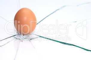 Egg On Broken Glass