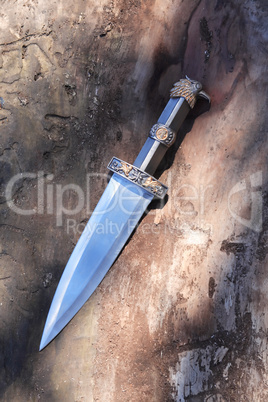 Dagger On Wood