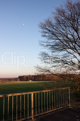 Mond über dem Feld