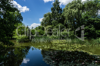 Small pond