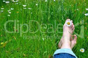 Füße in Blumenwiese
