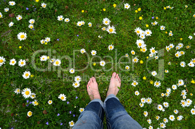 Füße in Blumenwiese