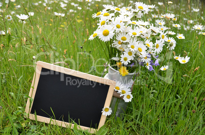 Tafel Blumenstrauß margeriten