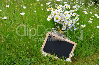 Tafel Blumenstrauß margeriten