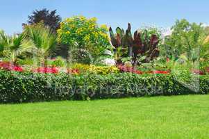 Blossoming flowerbeds in the park