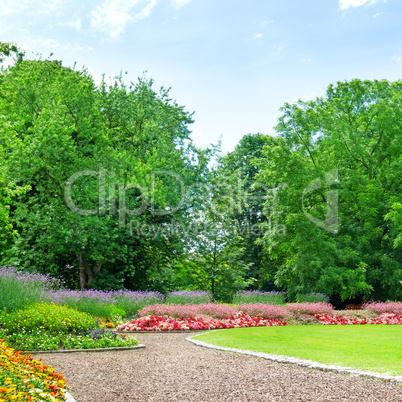 Summer garden with lawn and flower garden