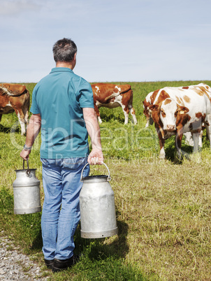 farmer with milk churns at his cows